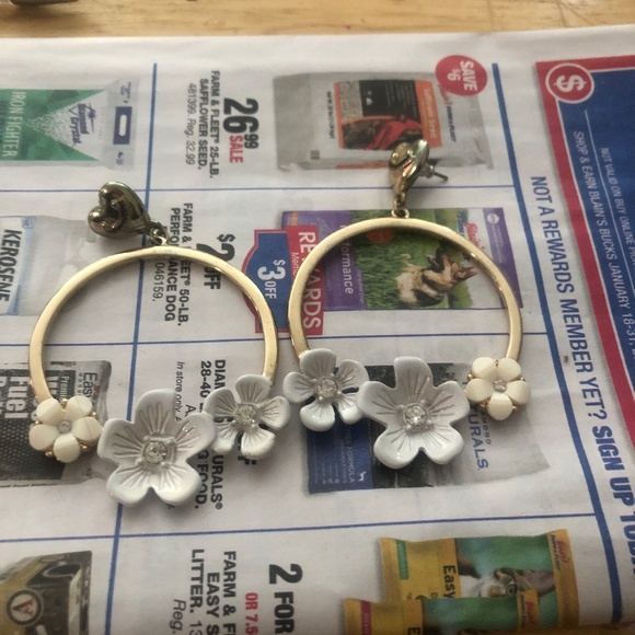 Earrings - Picture 1 of 2